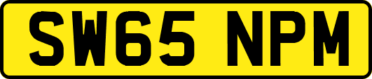 SW65NPM