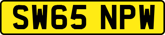SW65NPW