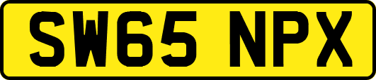 SW65NPX