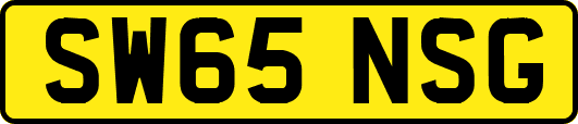 SW65NSG
