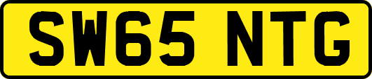 SW65NTG