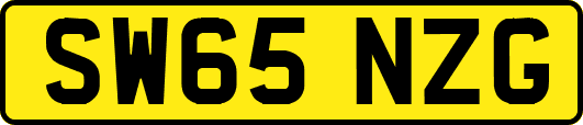 SW65NZG