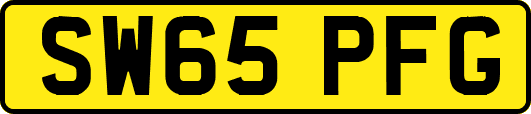 SW65PFG