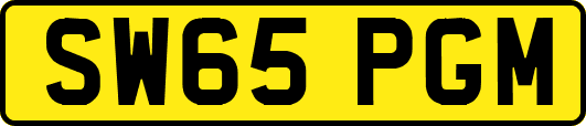 SW65PGM