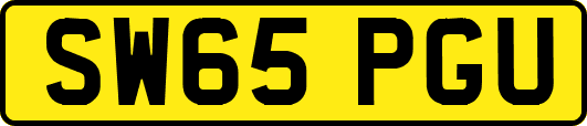SW65PGU