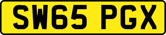 SW65PGX