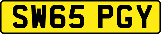 SW65PGY