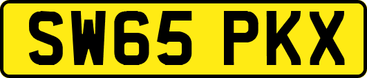 SW65PKX