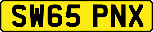 SW65PNX