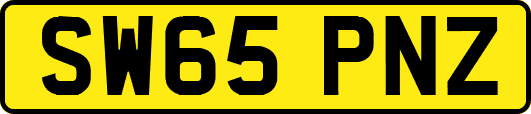 SW65PNZ