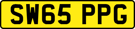 SW65PPG
