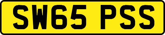 SW65PSS