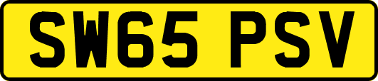 SW65PSV