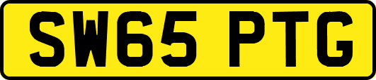 SW65PTG