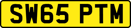 SW65PTM