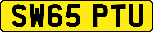 SW65PTU