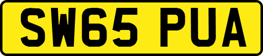 SW65PUA