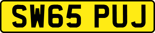 SW65PUJ