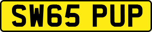 SW65PUP