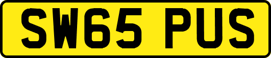 SW65PUS