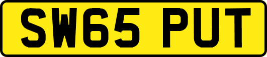 SW65PUT