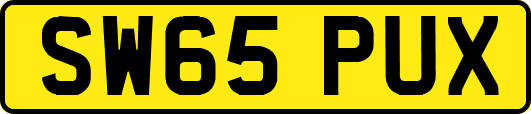 SW65PUX