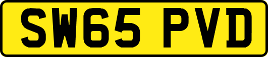 SW65PVD