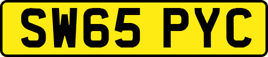 SW65PYC