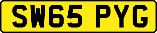 SW65PYG