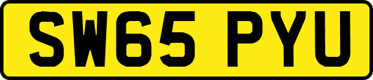SW65PYU