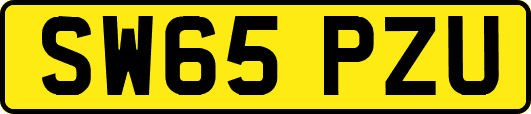 SW65PZU