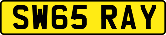 SW65RAY
