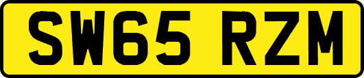 SW65RZM