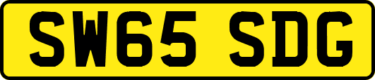 SW65SDG