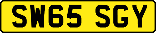 SW65SGY