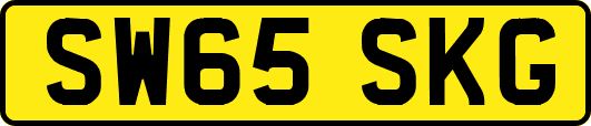 SW65SKG