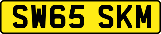 SW65SKM