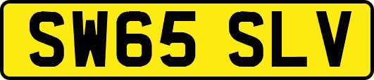 SW65SLV