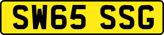 SW65SSG