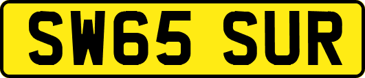 SW65SUR