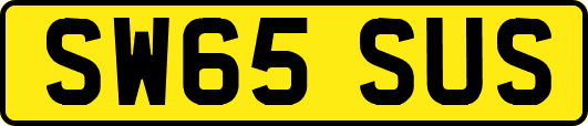 SW65SUS