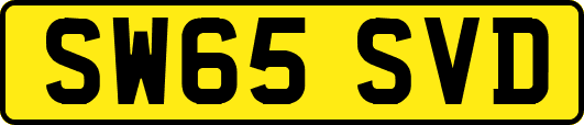 SW65SVD