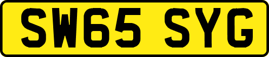 SW65SYG