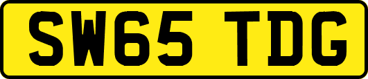 SW65TDG