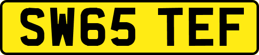 SW65TEF