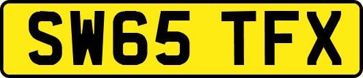 SW65TFX