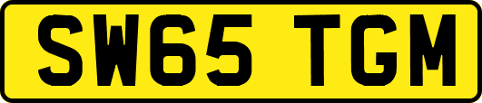 SW65TGM