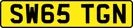 SW65TGN