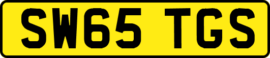 SW65TGS