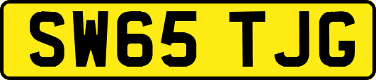 SW65TJG